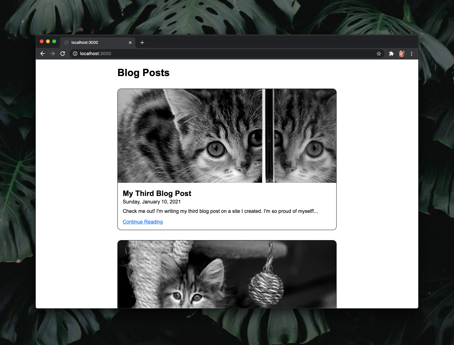 Web page listing blog posts. Each has a black and white image of a random cat, a title in bold text, a date, excerpt, and blue link that reads "Continue Reading".